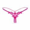 KL64 Rose