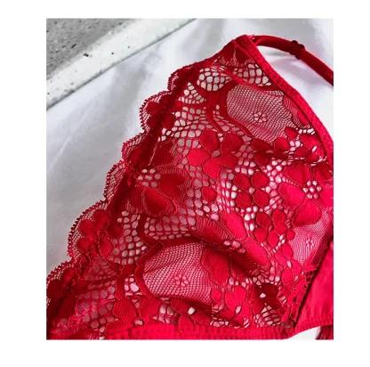 Sheer Lace G-string Panties - Image 6
