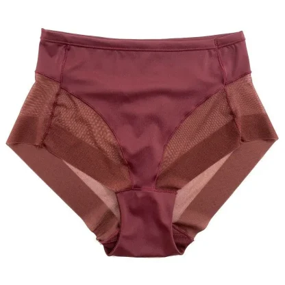 Seamless Mesh Slimming Panties - Image 5
