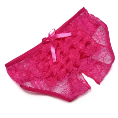 Open Crotch Sheer Panties - Image 4