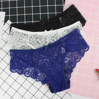Sheer Lace Sexy Panties - Image 5